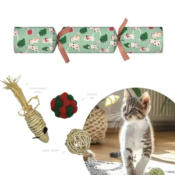 Mistletoe & Merry - Novelty - Pets Cats 14