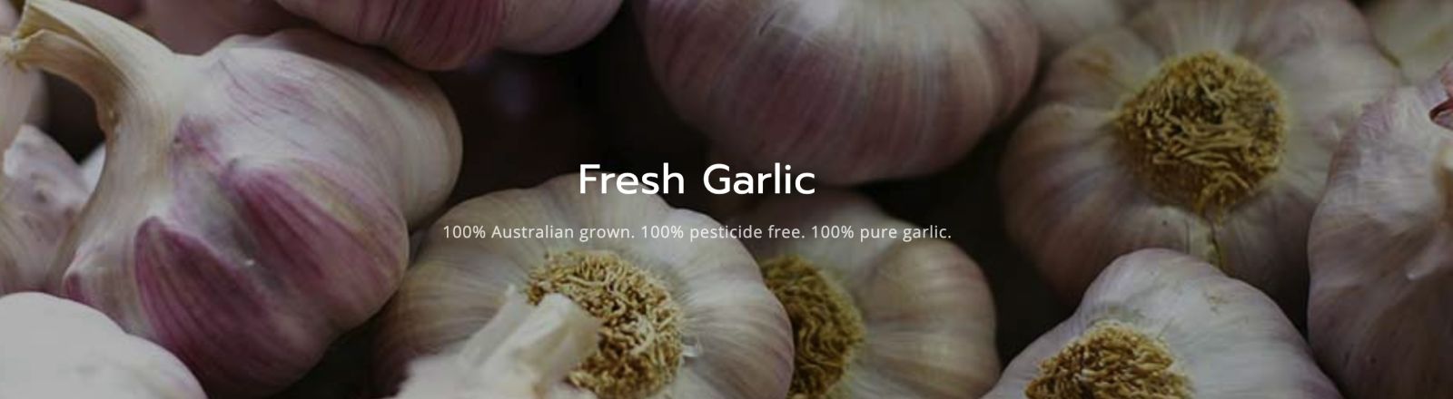 KI Garlic Image