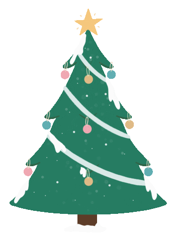 Christmas 2022 Mixed Case Christmas Pre-Orders 2022 - Wholesale | Gourmet Brands