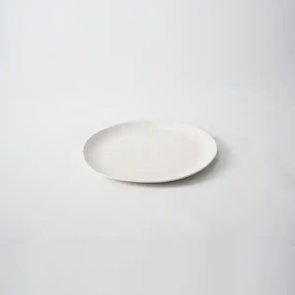 Mr & Mrs Potter Everyday Platter Large-Snow  (1)