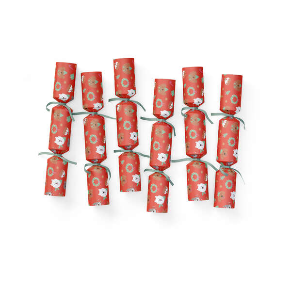 Mistletoe & Merry PET Pets Dogs (24)